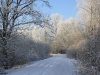 winter-mitteldeich